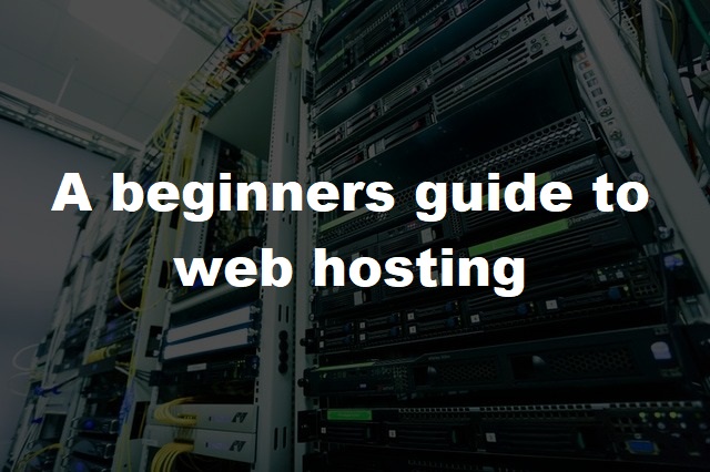 beginners guide web hosting